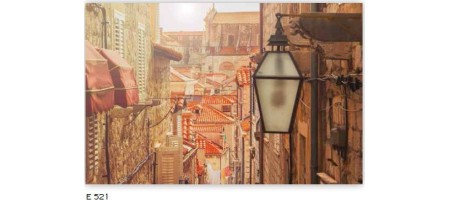 Ρόλερ ψηφιακή εκτύπωση E521